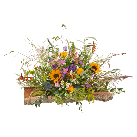 Rouwwerk Zonneweelde