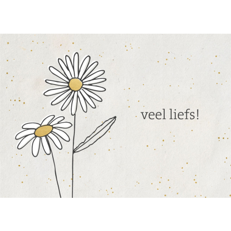 Gouden wenskaart veel liefs