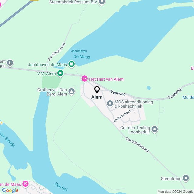 Bloemist Alem – Jouw Bloemenwinkel