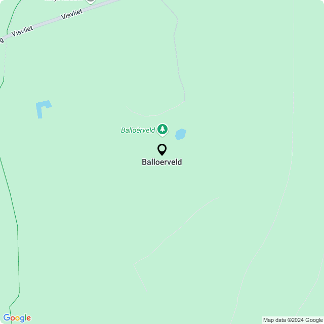 Bloemist Balloërveld – Jouw Bloemenwinkel