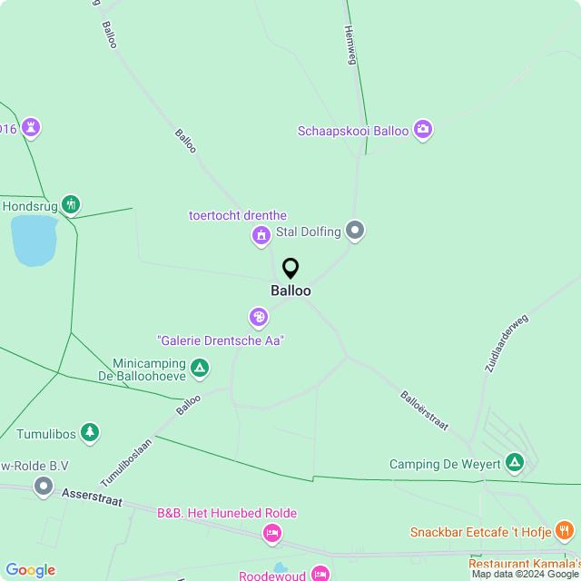 Bloemist Balloo – Jouw Bloemenwinkel