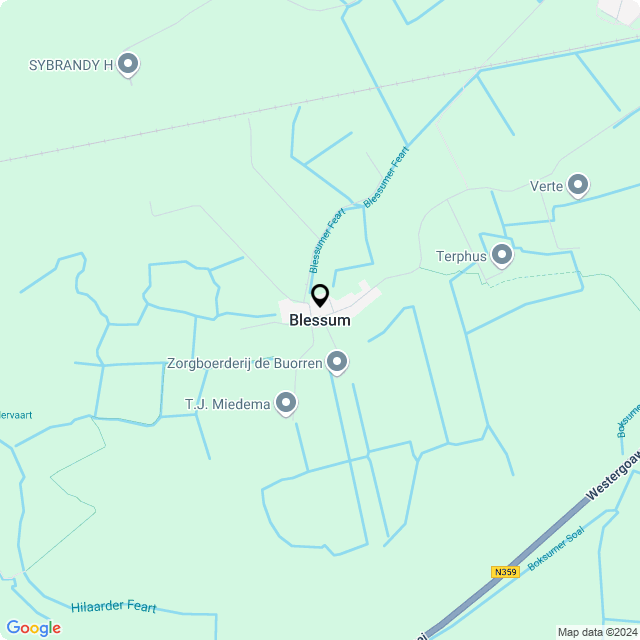 Bloemist Blessum – Jouw Bloemenwinkel