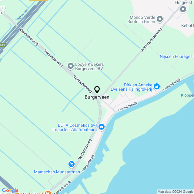 Bloemist Burgerveen – Jouw Bloemenwinkel