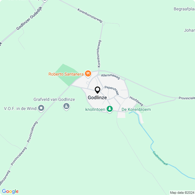 Bloemist Godlinze – Jouw Bloemenwinkel