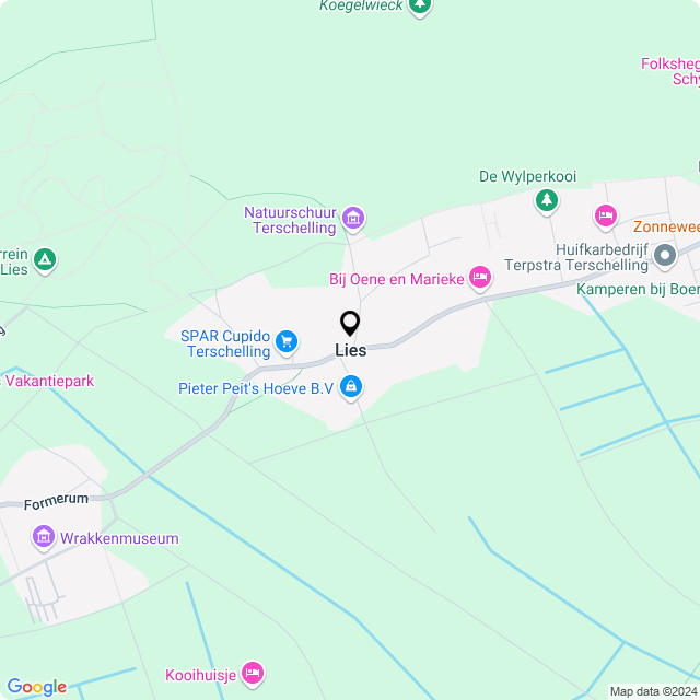Bloemist Lies – Jouw Bloemenwinkel