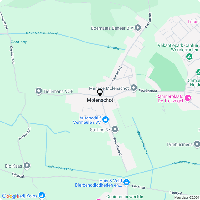 Bloemist Molenschot – Jouw Bloemenwinkel