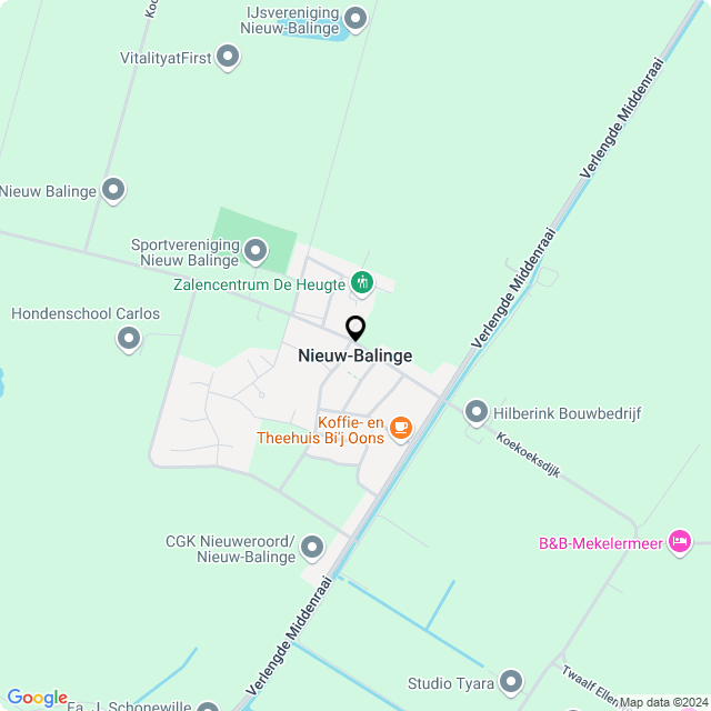 Bloemist Nieuw-Balinge – Jouw Bloemenwinkel