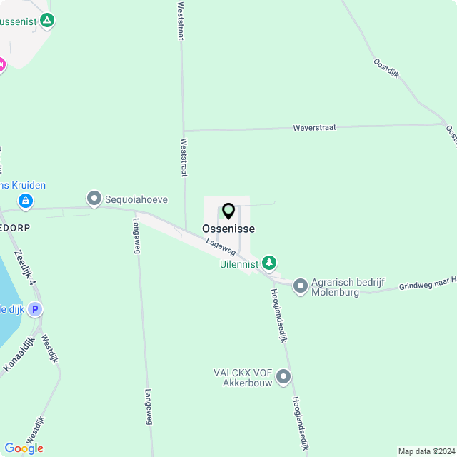 Bloemist Ossenisse – Jouw Bloemenwinkel