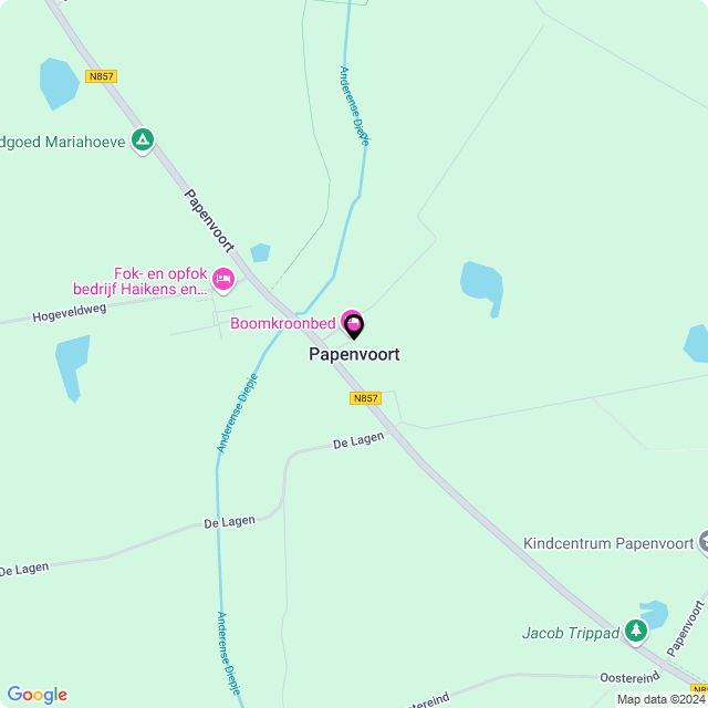 Bloemist Papenvoort – Jouw Bloemenwinkel