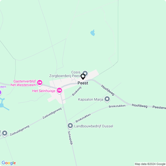 Bloemist Peest – Jouw Bloemenwinkel