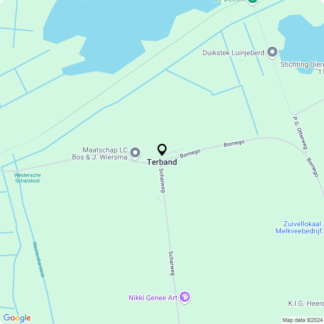 Bloemist Terband – Jouw Bloemenwinkel