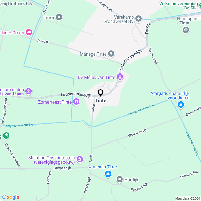 Bloemist Tinte – Jouw Bloemenwinkel