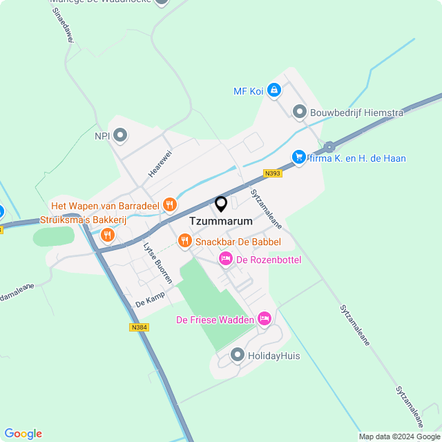 Bloemist Tzummarum – Jouw Bloemenwinkel