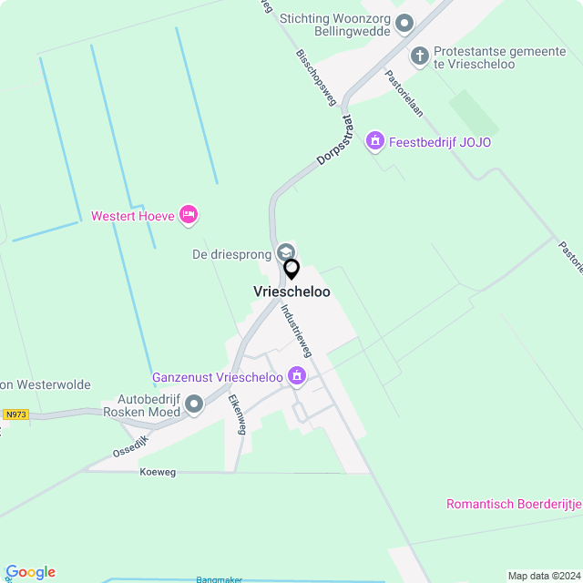 Bloemist Vriescheloo – Jouw Bloemenwinkel