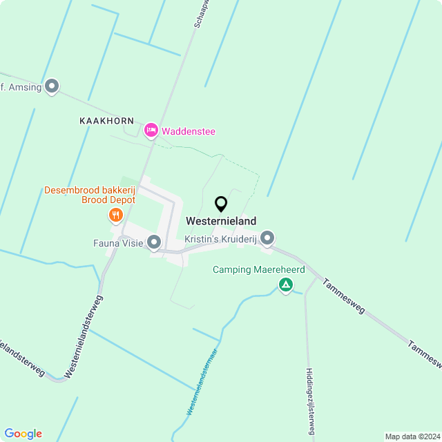 Bloemist Westernieland – Jouw Bloemenwinkel